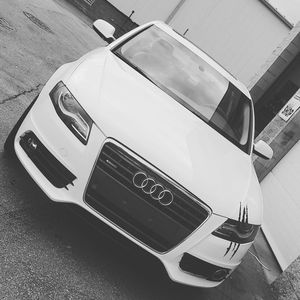 Meet your Posher, Landon